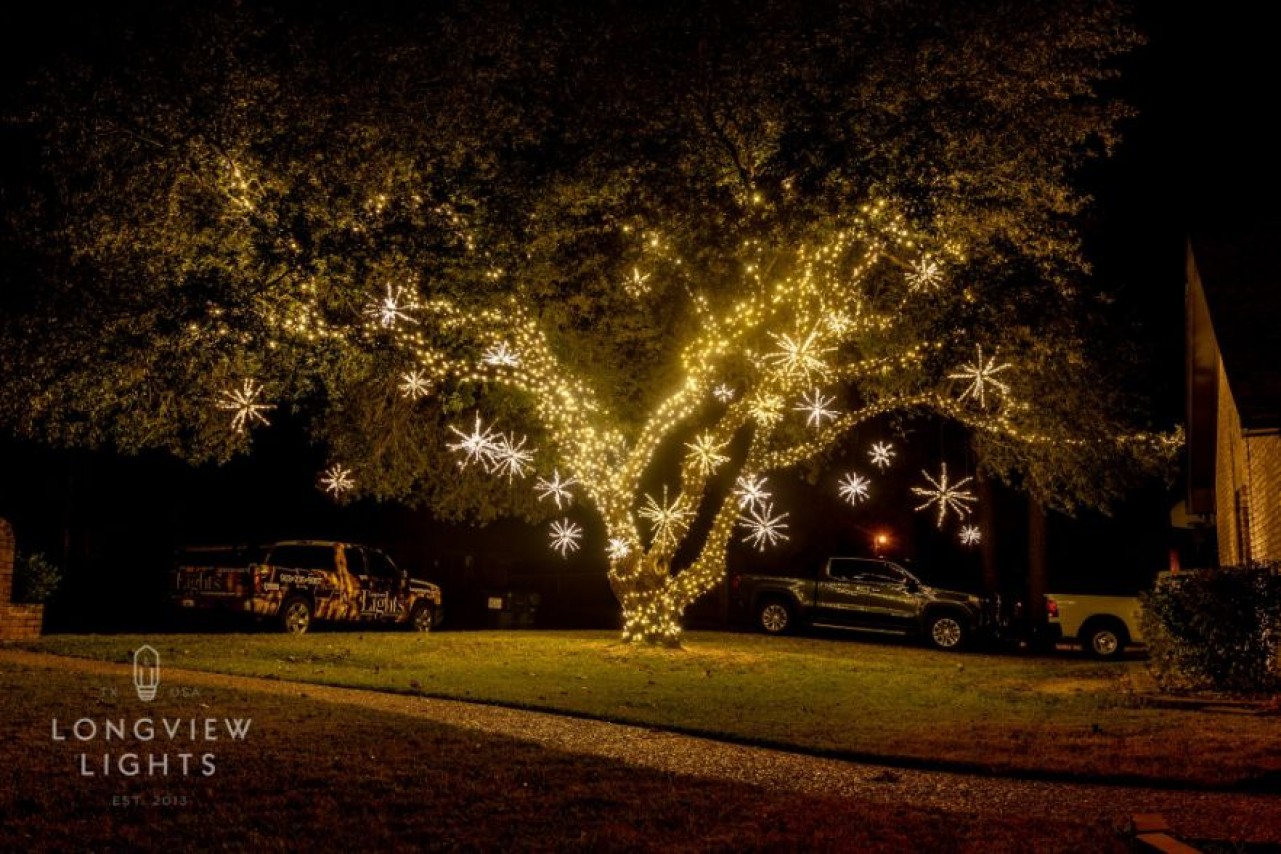 Gallery Longview Lights